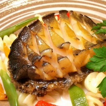 Ezo abalone from Hokkaido, Steak